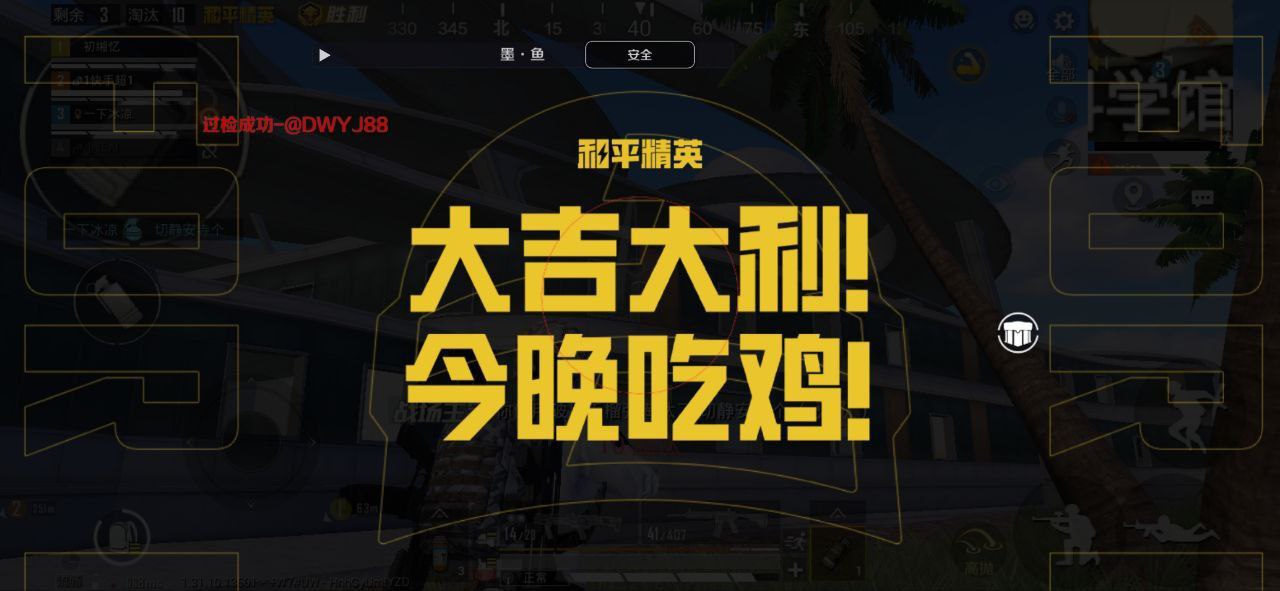 和平精英模拟器《ACE》内部辅助上架
